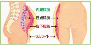 セルリッド,効果,副作用
