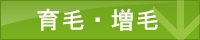 育毛,増毛