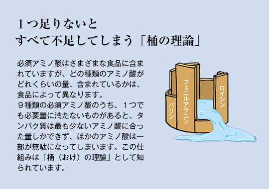 成長ホルモン,hgh,人気,通販,個人輸入
