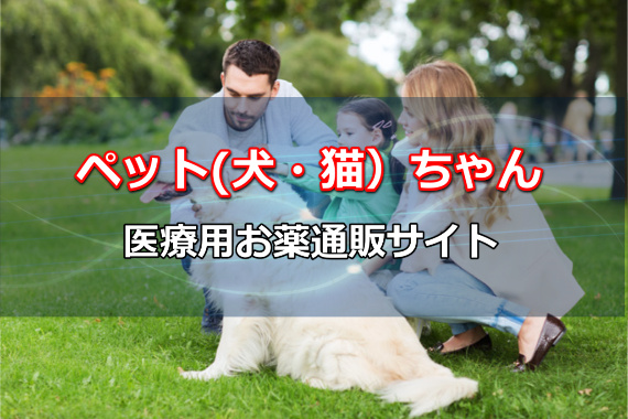 動物,犬,猫,ペット,通販
